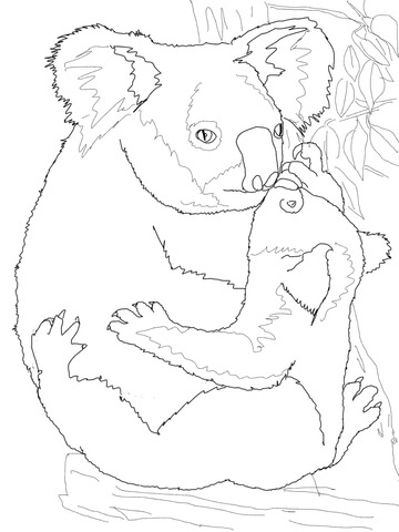 Mother Koala Hugging Its Baby Coloring Page